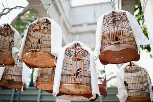 robot-heart:

beautiful birdcages (by bonjour celine!)