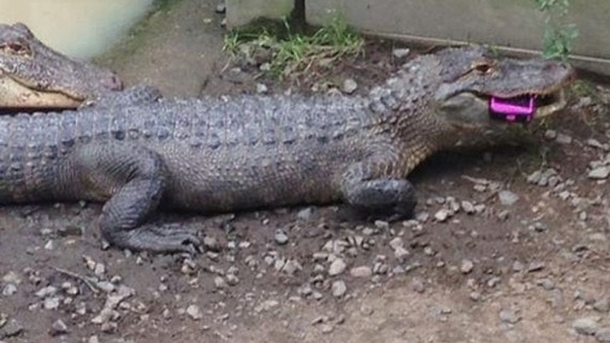 แชร์ประสบการณ์ความผิดพลาดครั้งยิ่งใหญ่ จนกลายเป็นมหันตภัยต่อชีวิตและทรัพย์สิน ! 1826745896629623038-blid-7731364293144481693